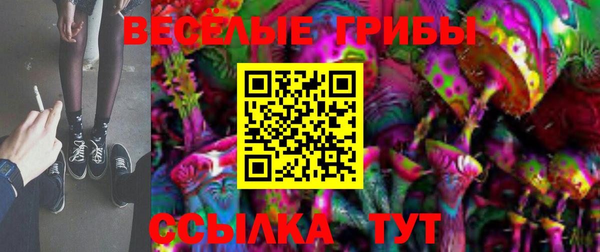 Кандалакша  Галлюциногенные грибы Psilocybine cubensis  Псилоцибиновые грибы Magic Shrooms  Вход с VPN 