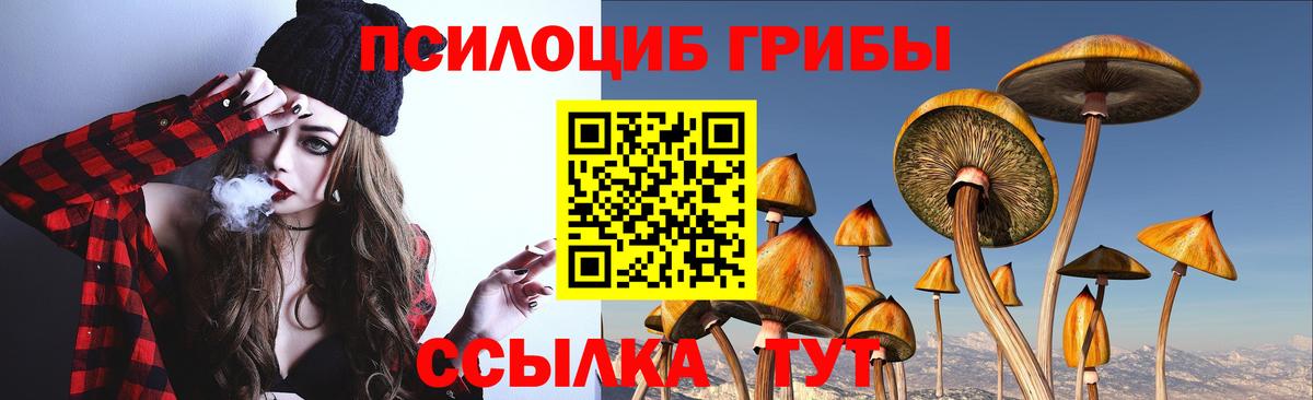 Псилоцибиновые грибы Psilocybine cubensis Кандалакша
